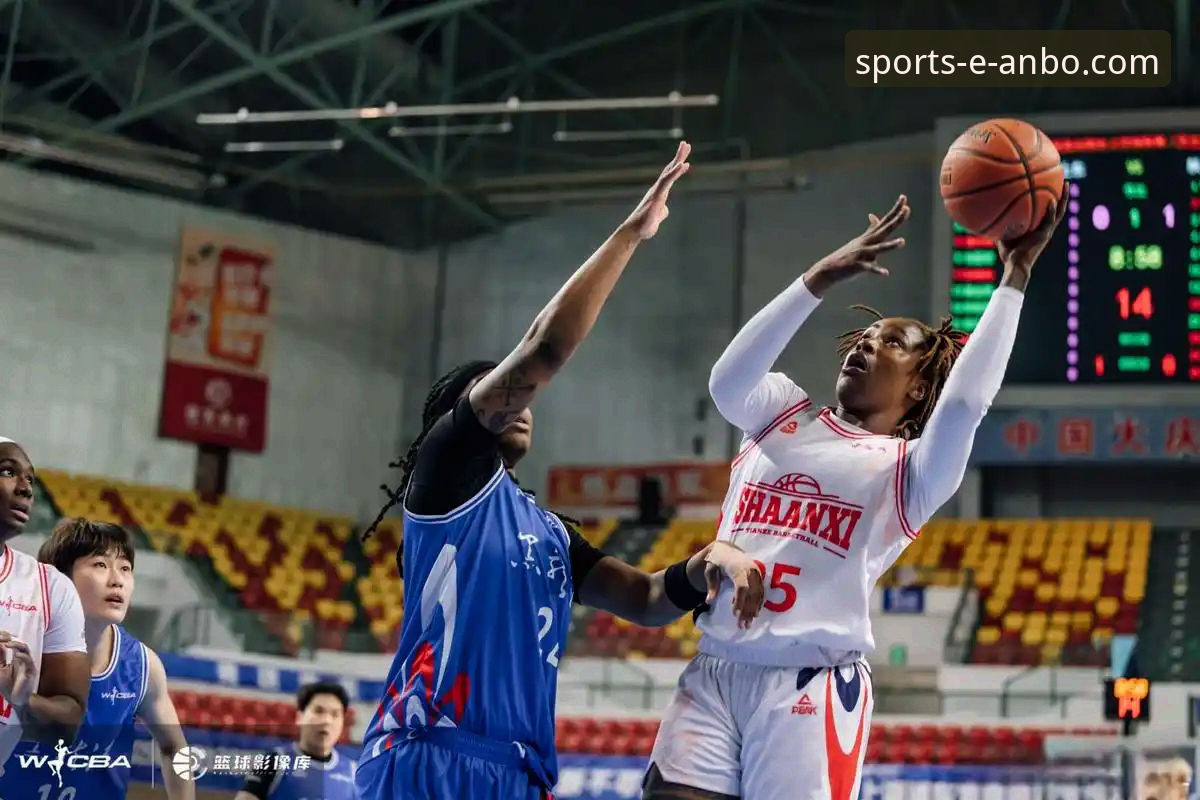 三外援体系 vs 团队篮球：WCBA总决赛G1的战术分野与未来趋势